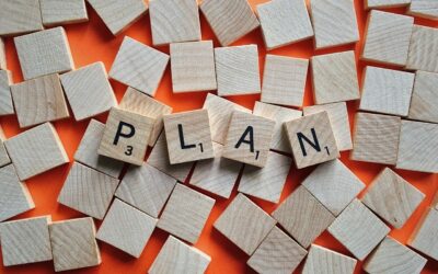 Plan postępowań publicznych 2025