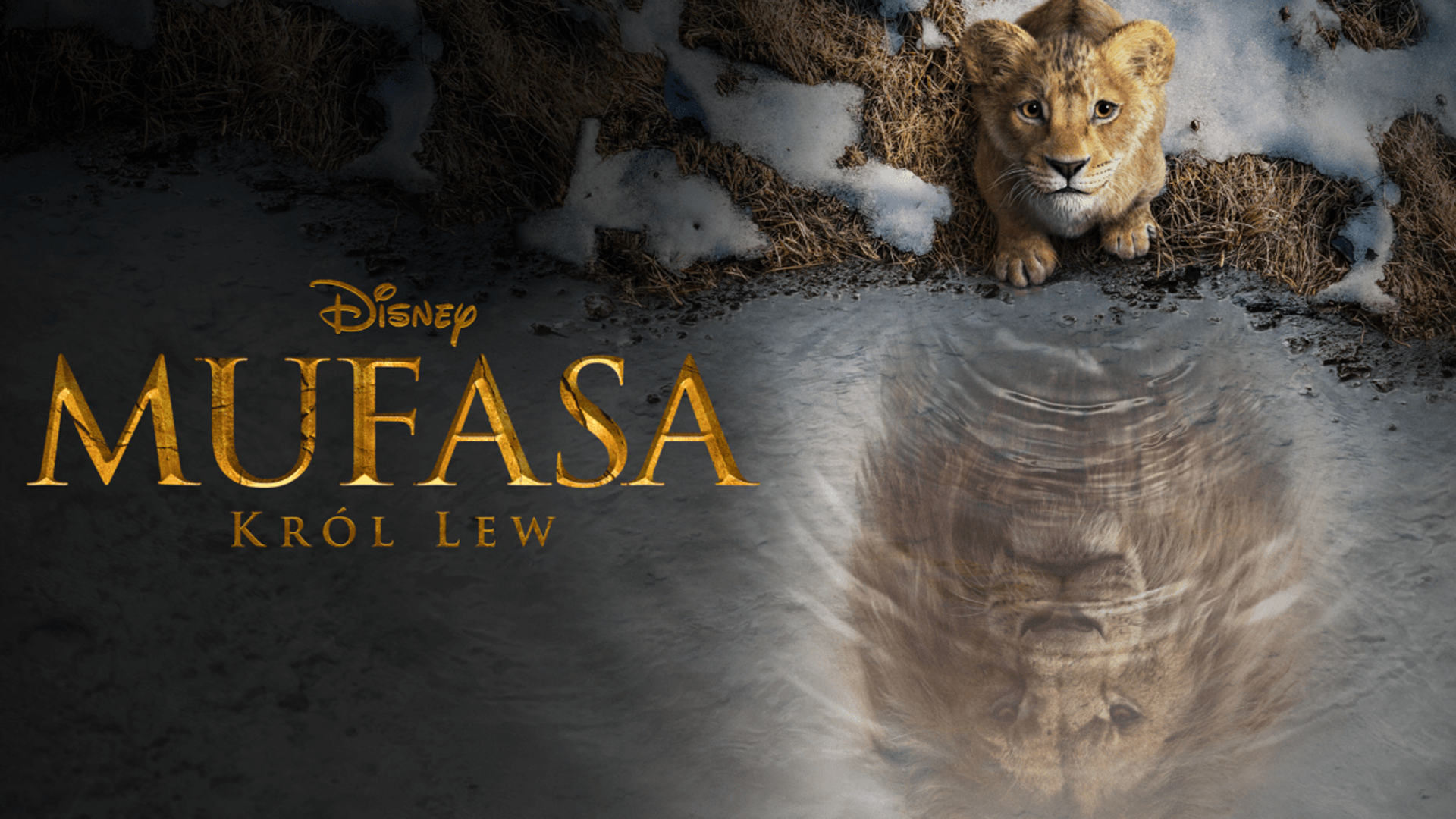 MUFASA: KRÓL LEW