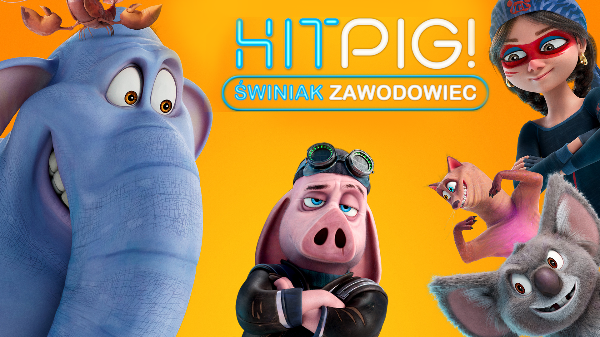 HITPIG. ŚWINIAK ZAWODOWIEC