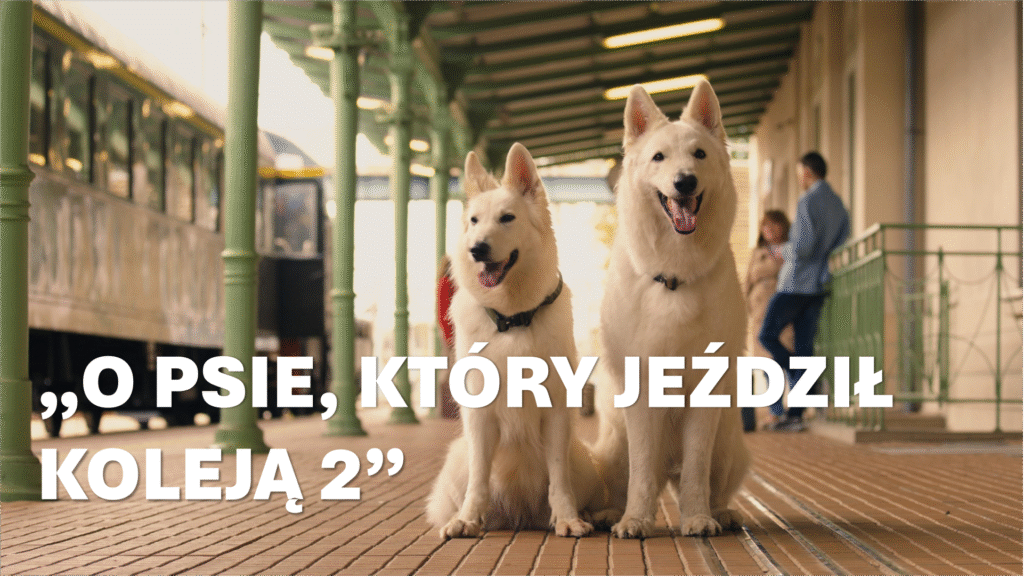 O PSIE, KTÓRY JEŹDZIŁ KOLEJĄ 2