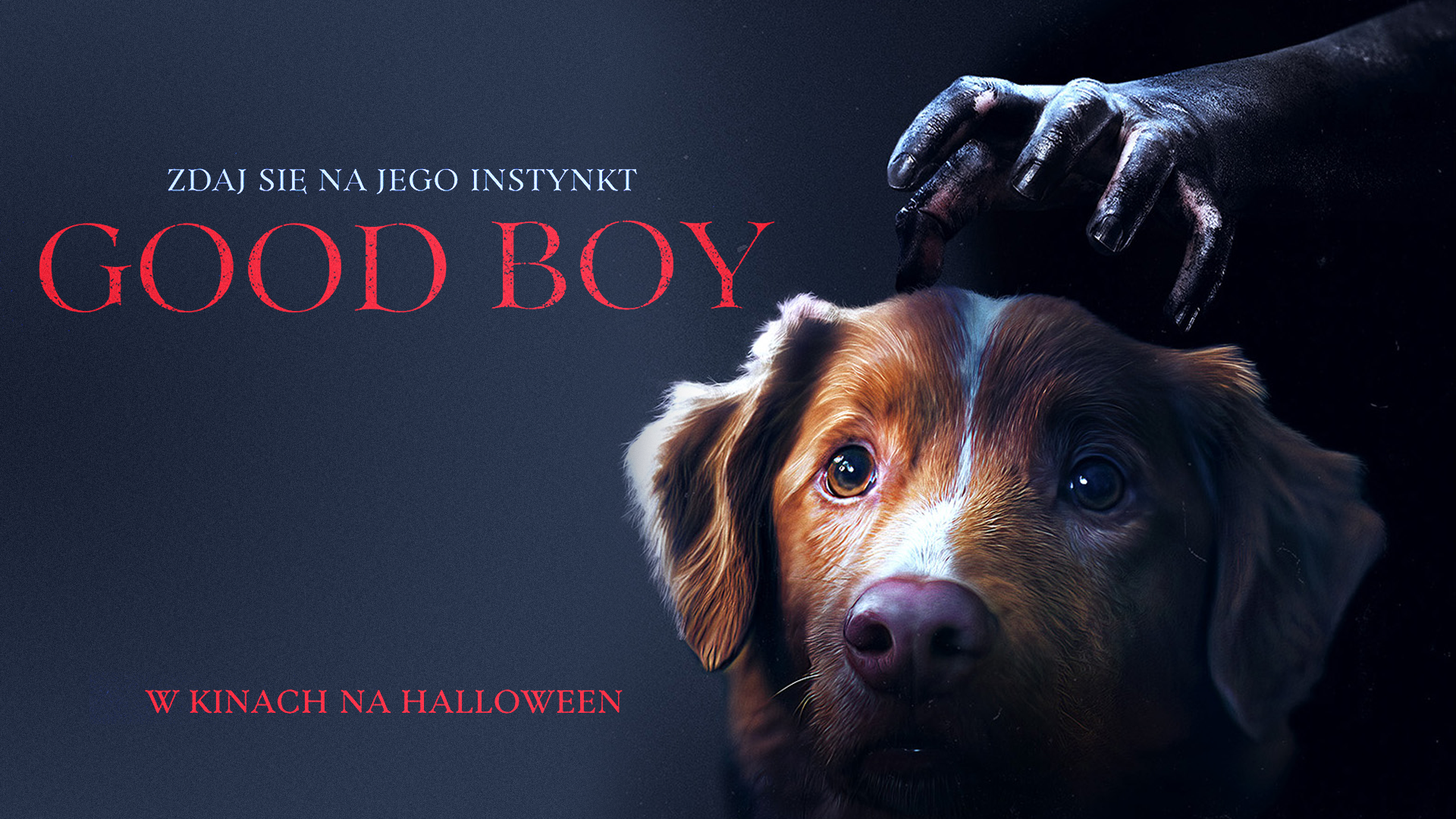 GOOD BOY